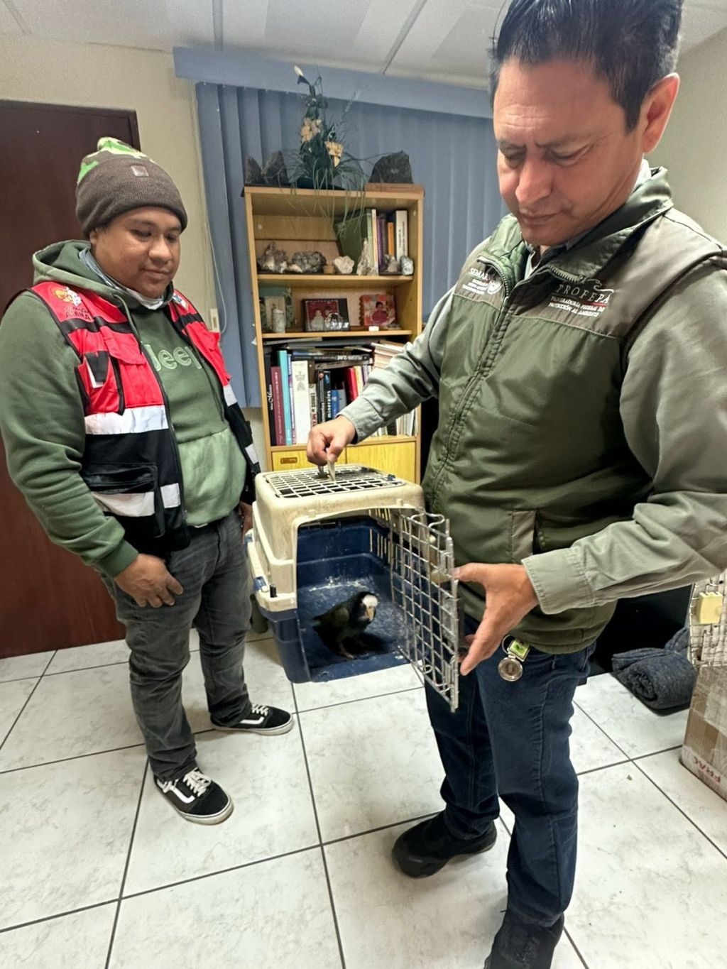 Gracias a los llamados ciudadanos, continúan rescates de animales por parte del Gobierno&nbsp;Capitalino