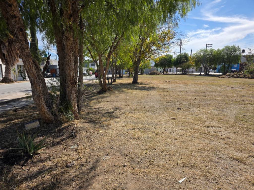 VILLA DE POZOS RECUPERA ÁREA VERDE EN FRACC. SAN&nbsp;XAVIER