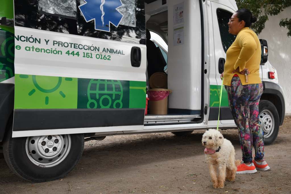 A TRAVÉS DE AMBUDOG, MUNICIPIO DE SOLEDAD ACERCA VACUNACIÓN ANTIRRÁBICA Y MÁS ATENCIÓN&nbsp;VETERINARIA