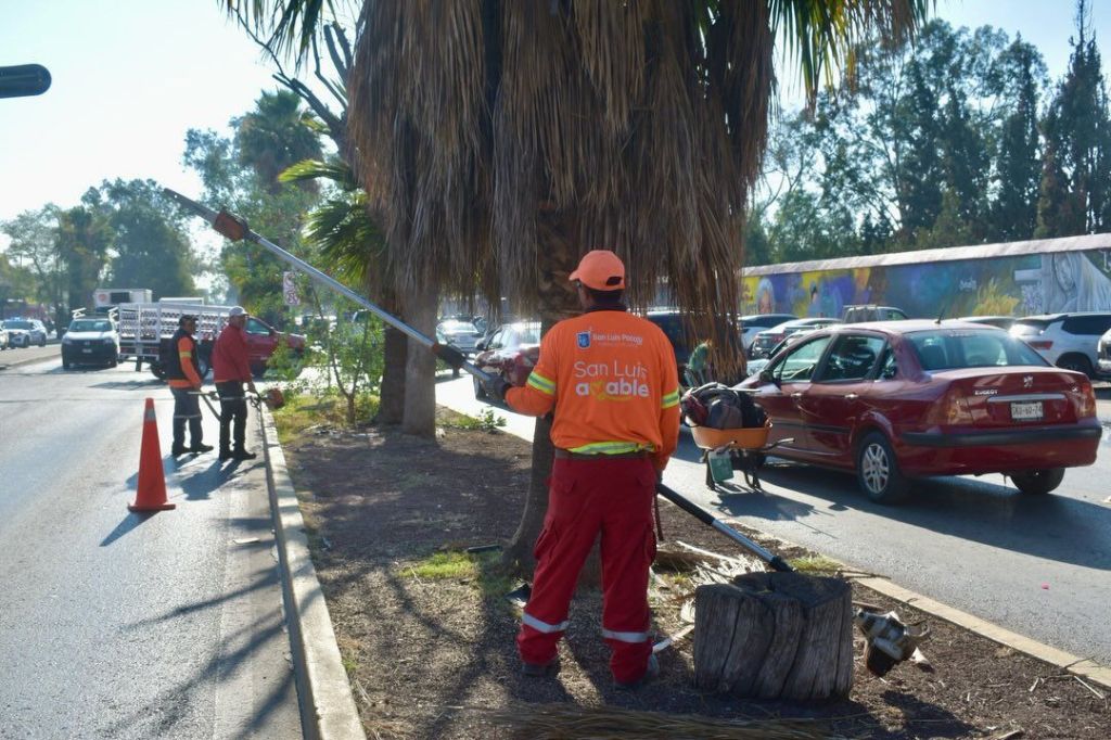 Gobierno de la Capital mejora condiciones de la Avenida Fray Diego de la&nbsp;Magdalena