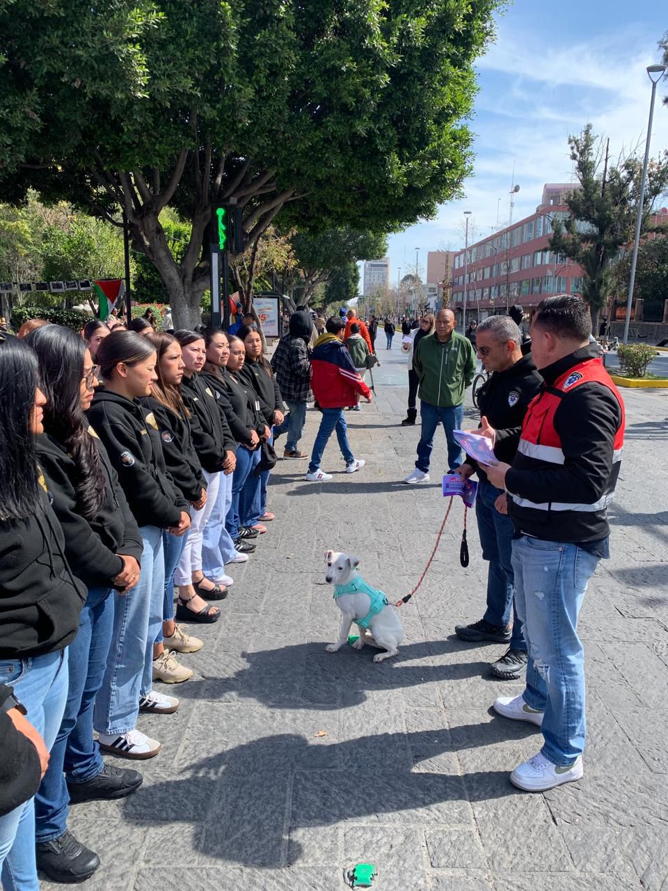 Gobierno de la Capital promueve paseo responsable de animales de&nbsp;compañía