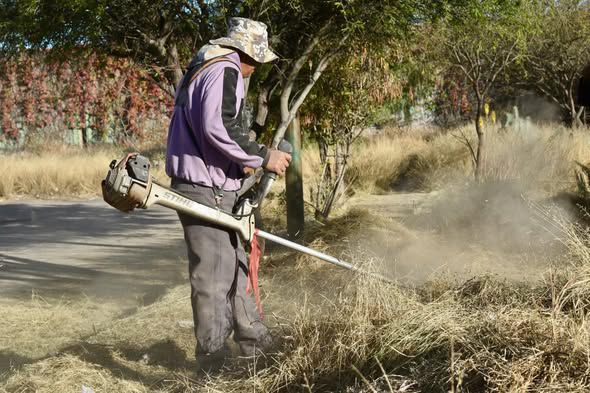 Gobierno de la Capital refuerza el mantenimiento de áreas verdes en la colonia Simón&nbsp;Díaz