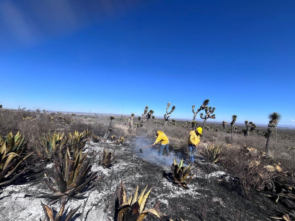 INCENDIO EN SANTO DOMINGO QUEDA BAJO CONTROL&nbsp;TOTAL