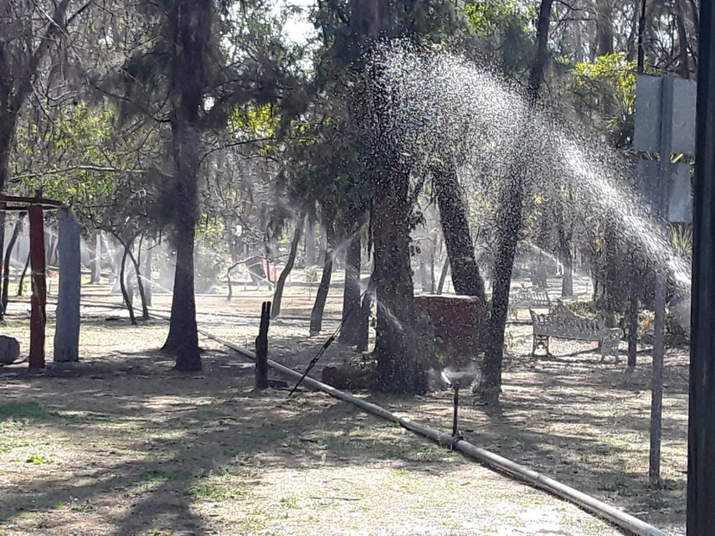 Gobierno de la Capital refuerza mantenimiento del Parque de Morales con riego permanente de agua no&nbsp;potable
