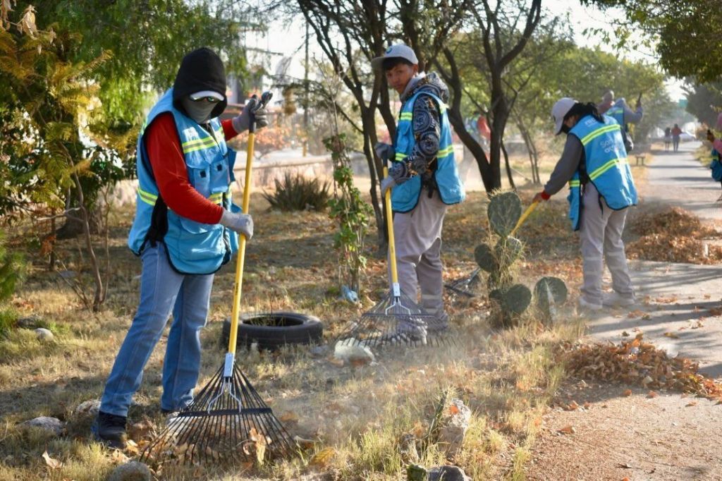 Con poda y riego, el Ayuntamiento de SLP revitaliza camellones y&nbsp;jardines