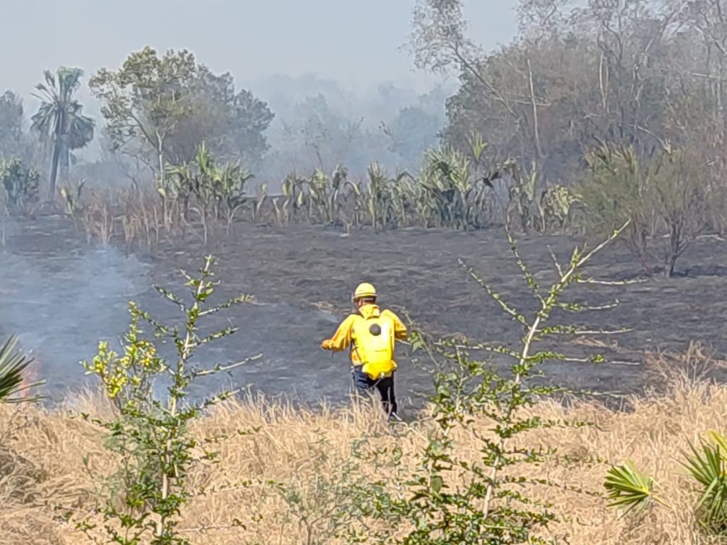 GOBIERNO ESTATAL DIFUNDE MEDIDAS PARA PREVENIR INCENDIOS&nbsp;FORESTALES