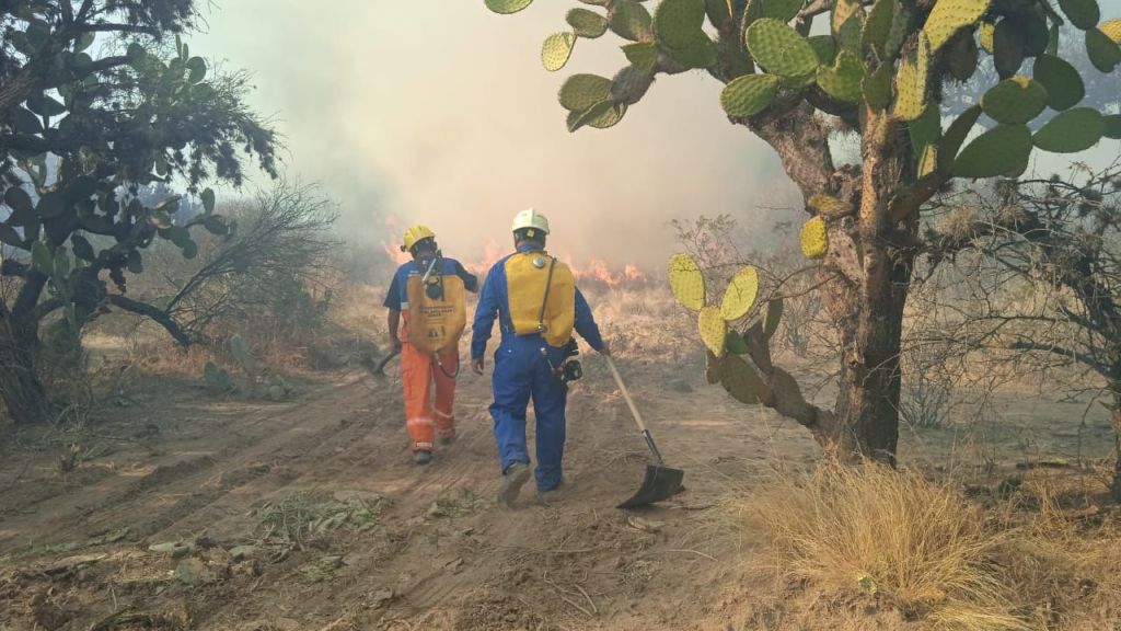 Coordinación interinstitucional y ciudadana permite sofocar incendio en la Delegación de&nbsp;Bocas