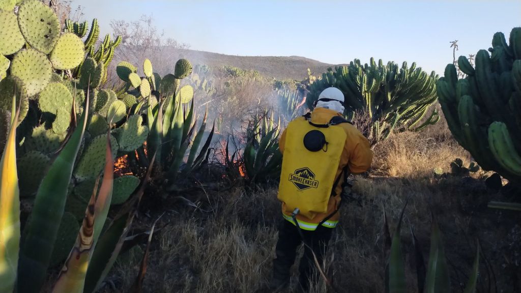 FORTALECE GOBIERNO RESPUESTA INMEDIATA ANTE INCENDIOS&nbsp;FORESTALES