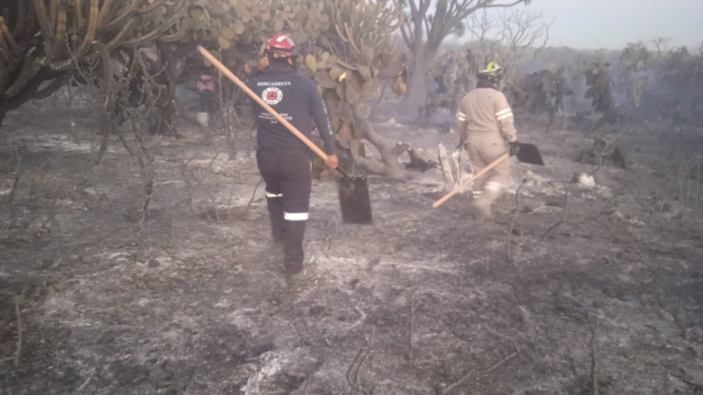 Protección Civil Municipal mantiene monitoreo y prevención ante incendio en Mexquitic: no hay riesgo para la mancha&nbsp;urbana