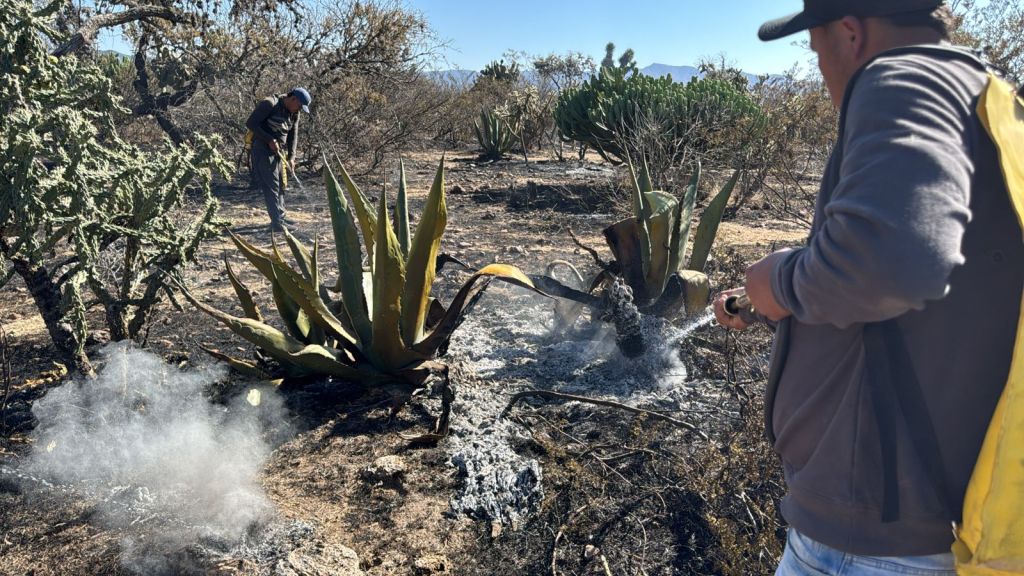 RESPONDE ESTADO CON ACCIONES OPORTUNAS ANTE&nbsp;INCENDIOS
