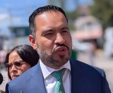 Partido&nbsp; Verde Ecologista de México en San Luis&nbsp;Potosí