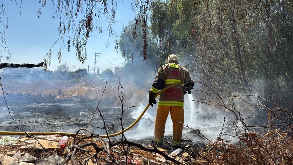 🔥👨‍🚒Protección Civil de Soledad atiende oportunamente conato de incendio en&nbsp;baldío🔥👨‍🚒