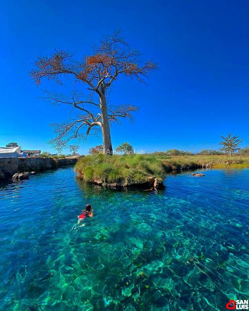 SAN LUIS AVANZA EN CONSERVACIÓN DEL MANANTIAL LOS&nbsp;PEROLES