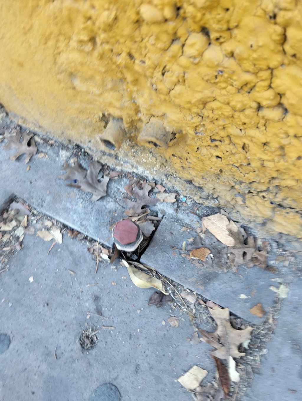 INTERAPAS atiende fuga en vivienda de Carranza