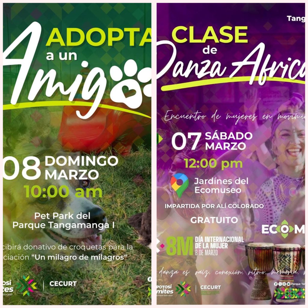 PARQUE TANGAMANGA I IMPULSA CULTURA Y BIENESTAR ESTE FIN DE&nbsp;SEMANA