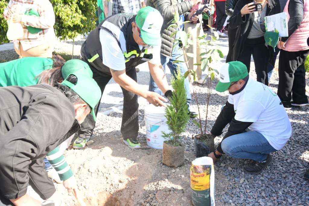 SOLEDAD DE G. S. INVITA A PARTICIPAR EN CAMPAÑA DE REFORESTACIÓN COMUNITARIA