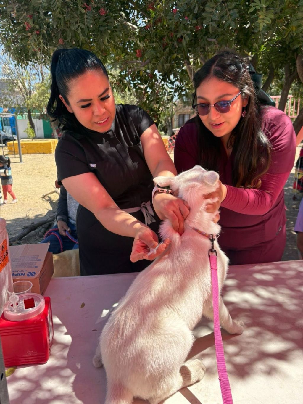 Ayuntamiento de SLP lleva vacunación antirrábica gratuita a la colonia Mezquital