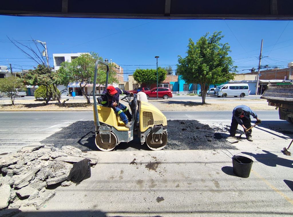 Gobierno de la Capital atiende reporte ciudadano en avenida Salk con bacheo emergente en la colonia Progreso
