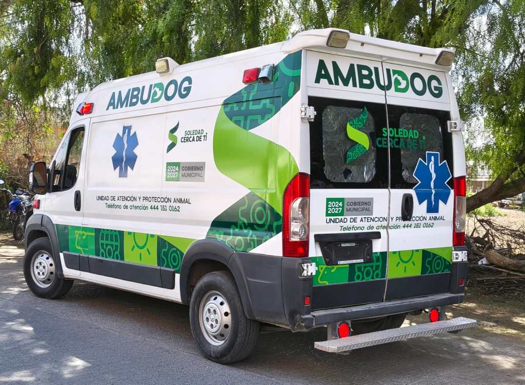 CON VACUNACIÓN ANTIRRÁBICA, SOLEDAD SOSTIENE ESTRATEGIA DE SALUD PREVENTIVA ANIMAL