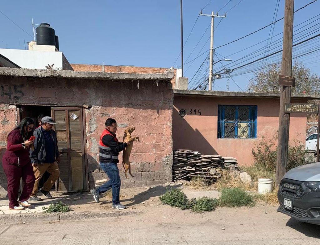 Policía de la Capital rescata a tres caninos en probable caso de maltrato&nbsp;animal