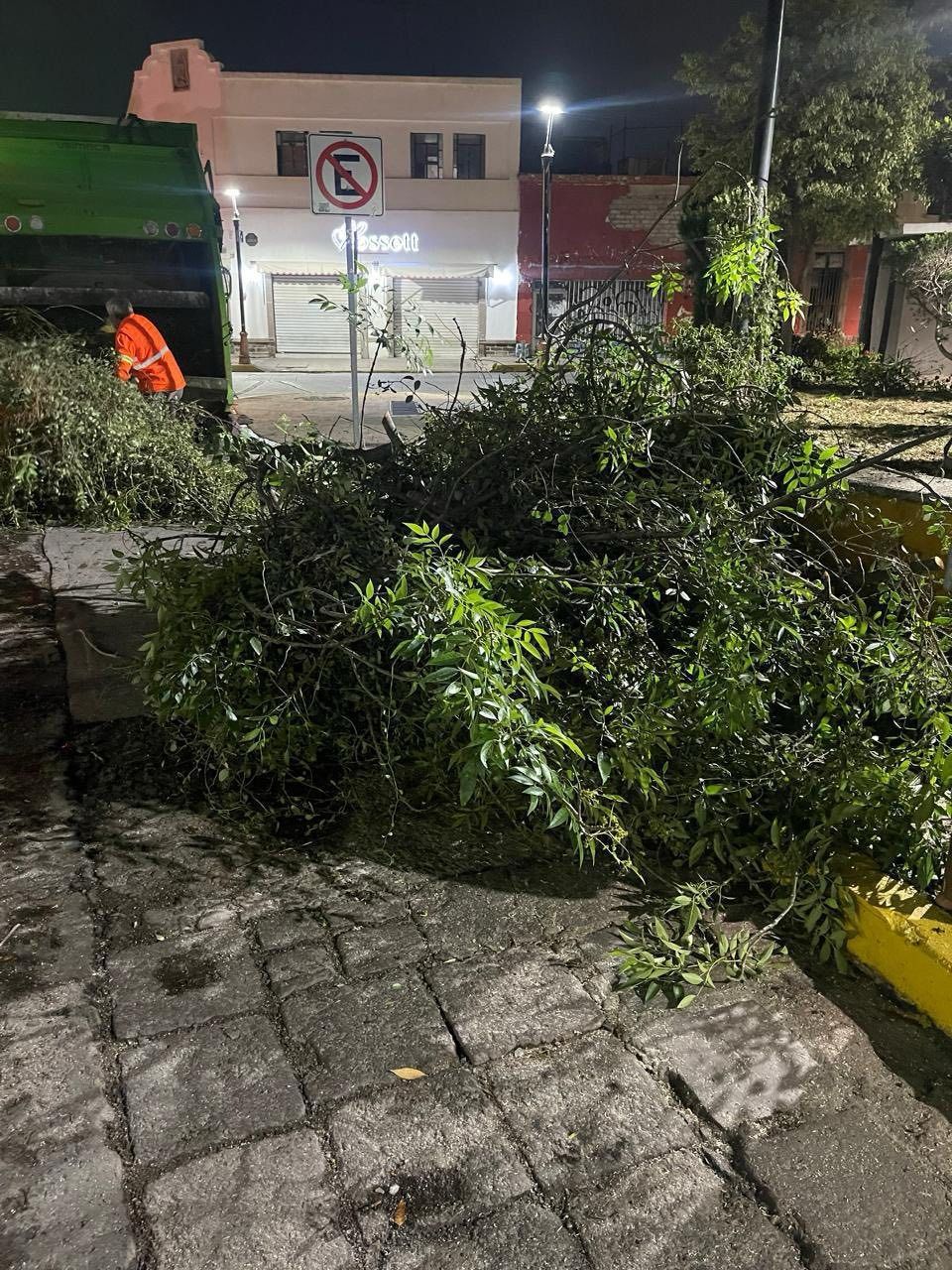 Gobierno de la Capital atiende caída de árboles tras&nbsp;lluvias