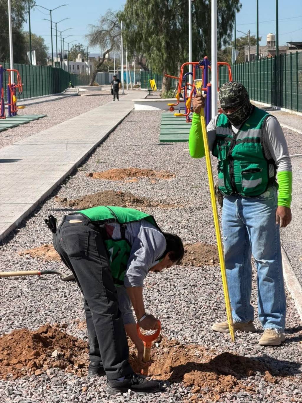 CONTINÚA PROGRAMA DE REFORESTACIÓN EN SOLEDAD CON AMPLIA PARTICIPACIÓN&nbsp;CIUDADANA