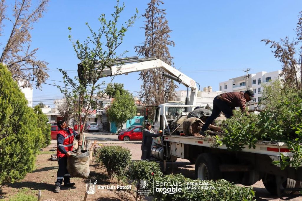 Ayuntamiento de SLP continúa con la rehabilitación del jardín Juan Ruiz de&nbsp;Alarcón