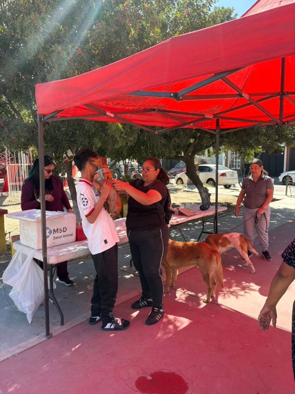 Se amplían beneficios del área de Bienestar Animal de la Capital en la zona&nbsp;norte