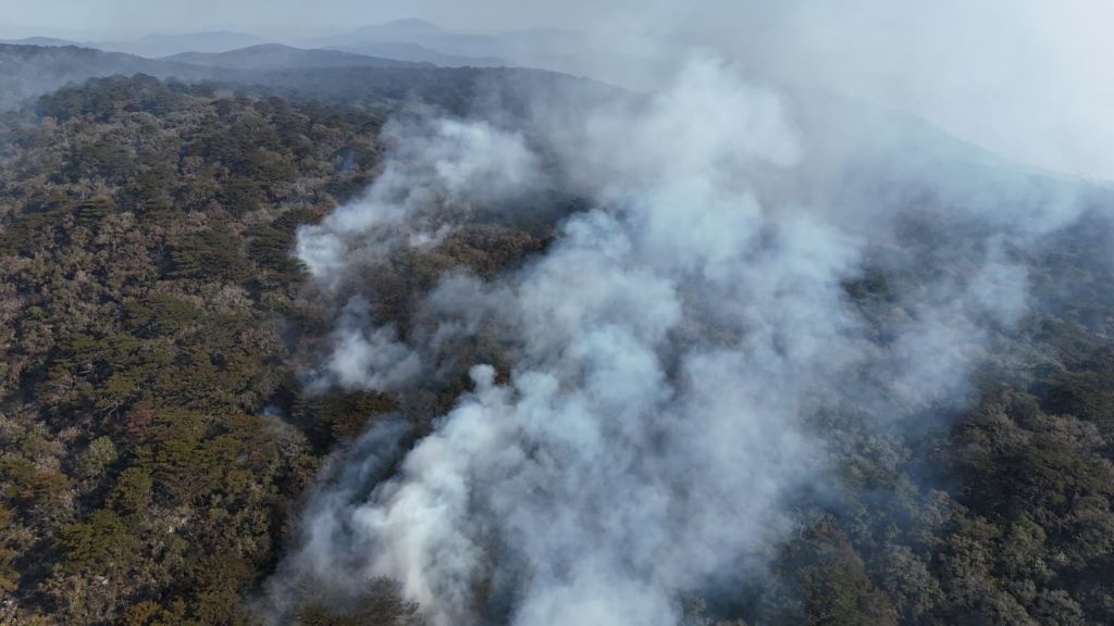 ESTADO AVANZA EN CONTROL DE INCENDIO EN CIUDAD DEL&nbsp;MAÍZ