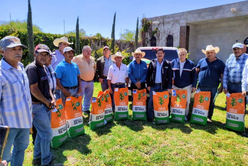PRODUCTORES SOLEDENSES RECIBEN SEMILLA DE MAÍZ ELOTERO POR PARTE DEL&nbsp;AYUNTAMIENTO