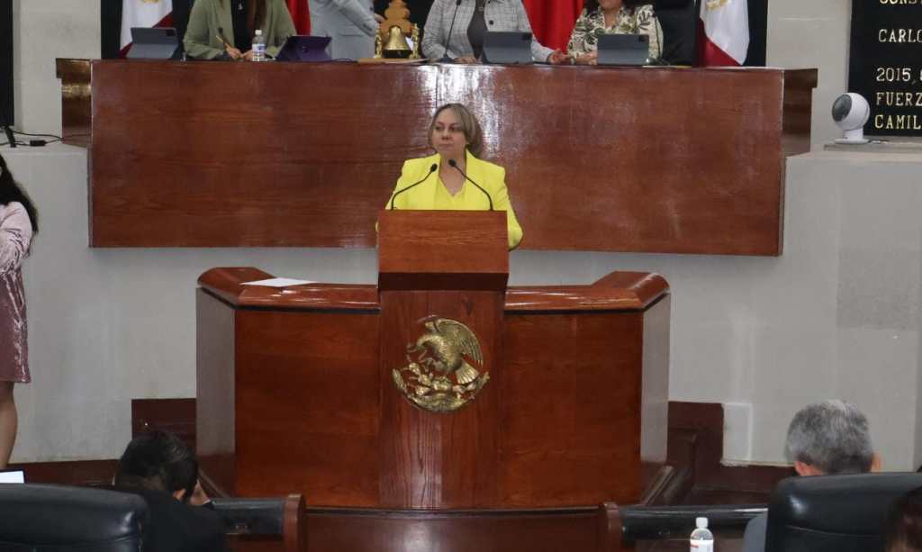 LA DIP. SARA ROCHA PROPONE INICIATIVA PARA QUE HOSPITALES DE SLP CUENTEN CON CUIDADOS INTENSIVOS&nbsp;NEONATALES.