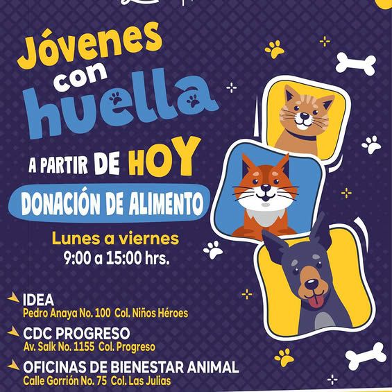 Reiteran invitación a población potosina para unirse a campaña “Jóvenes con Huella”
