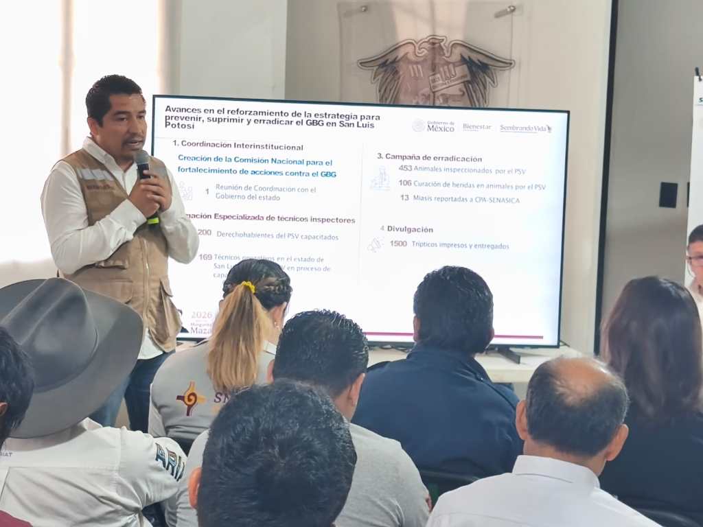 SAN LUIS REFUERZA ACCIONES CONTRA EL GUSANO BARRENADOR