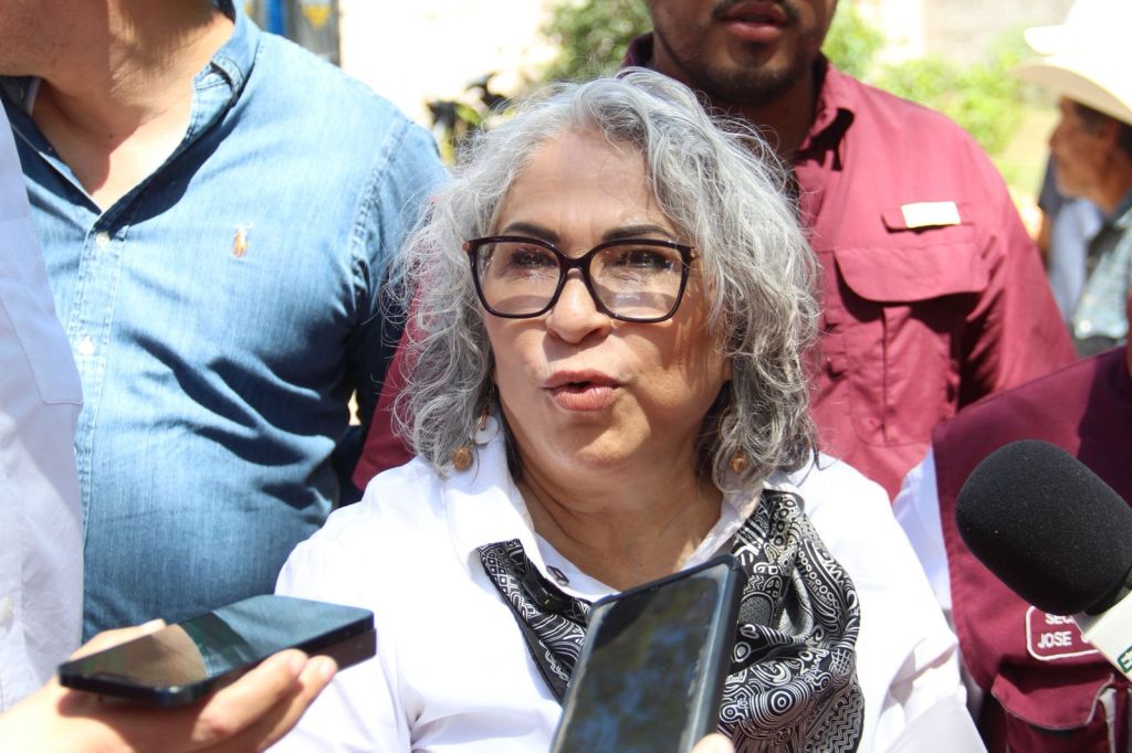 Morena fortalece su organización territorial en San Luis Potosí con la instalación de Consejos&nbsp;Municipales