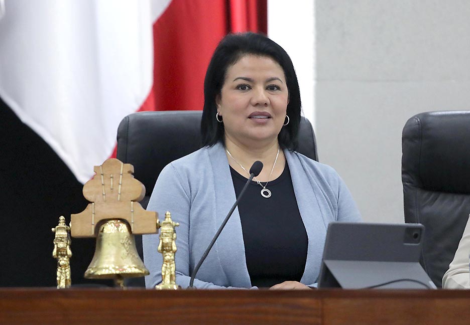 IMPULSA CONGRESO INICIATIVA PARA FORTALECER PROTECCIÓN DE NIÑAS Y ADOLESCENTES EN SAN LUIS POTOSÍ: DIP. MIREYA VANCINI&nbsp;VILLANUEVA