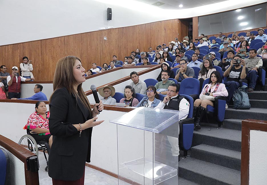 ES NECESARIO CONOCER CONCLUSIONES DEL COMITÉ CIENTÍFICO SOBRE LA PROPUESTA DE IMPLEMENTAR FRACKING: DIP. NANCY JEANINE&nbsp;GARCÍA