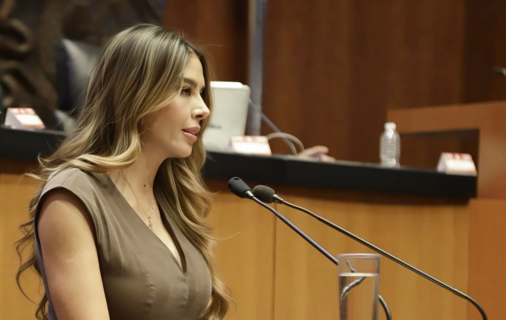 IMPULSA RUTH GONZÁLEZ SILVA CAPACITACIÓN OBLIGATORIA EN PERSPECTIVA DE GÉNERO PARA TODO EL SERVICIO PÚBLICO