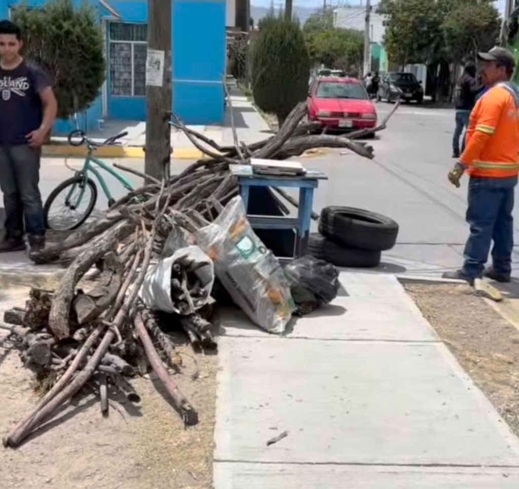 La Operación Descacharrización del Gobierno de la Capital obtiene grandes&nbsp;resultados.