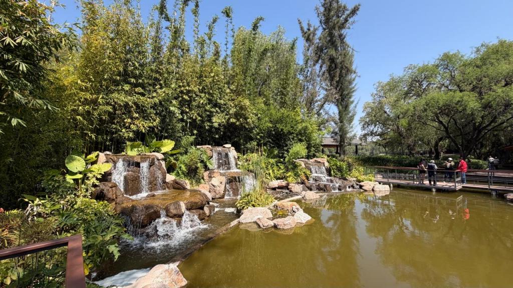 PARQUE JAPONÉS; ESPACIO IDEAL PARA LA MEDITACIÓN