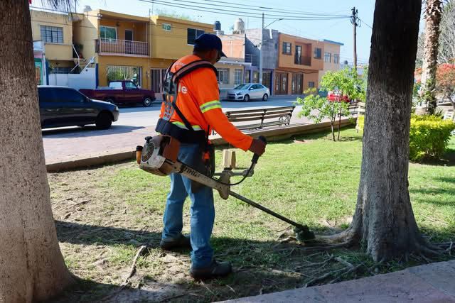 Mantenimiento revitaliza el Jardín de las Mercedes en San Luis&nbsp;Capital