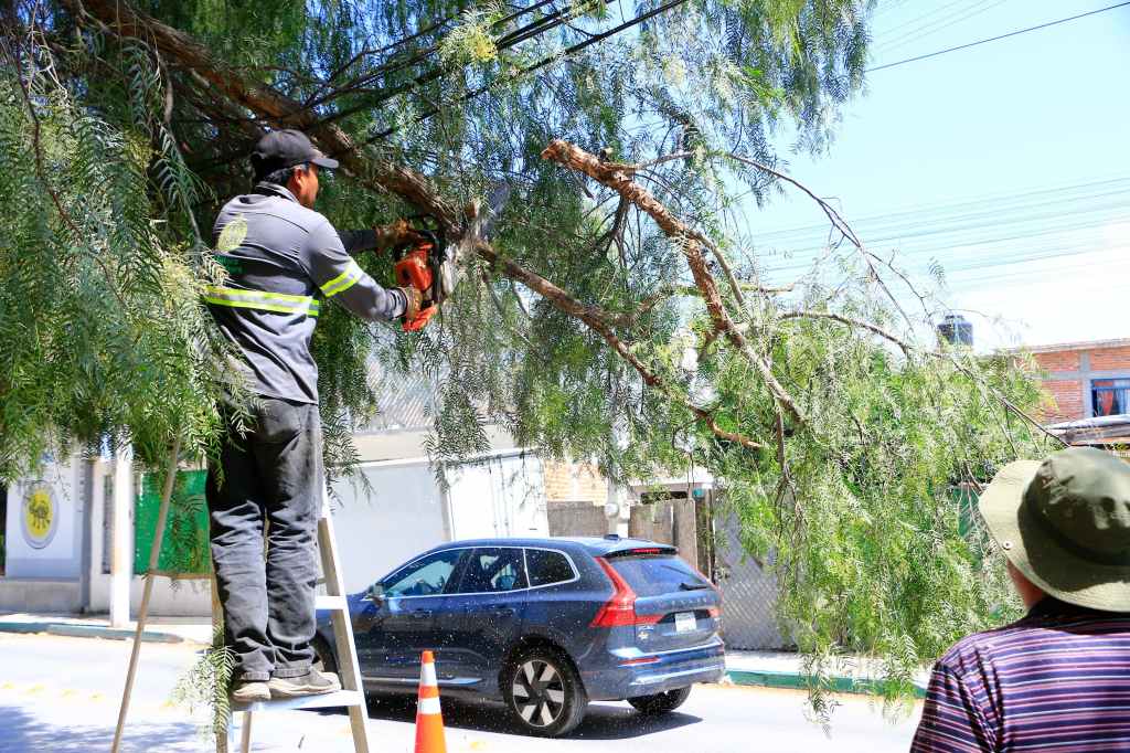 FORTALECE VILLA DE POZOS MANTENIMIENTO&nbsp;URBANO