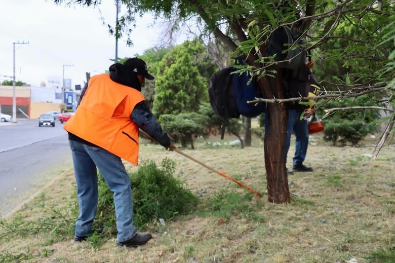 Gobierno de la Capital fortalece limpieza, alumbrado y rescate de espacios públicos en&nbsp;SLP