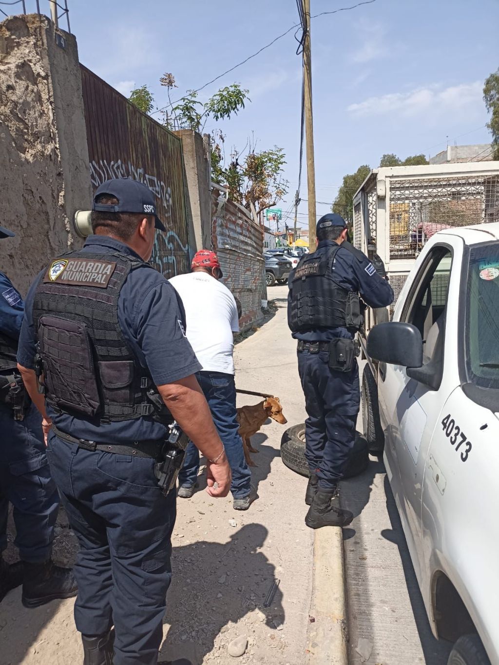 Policía de la Capital rescata a 10 caninos tras reporte ciudadano en la zona del&nbsp;Saucito
