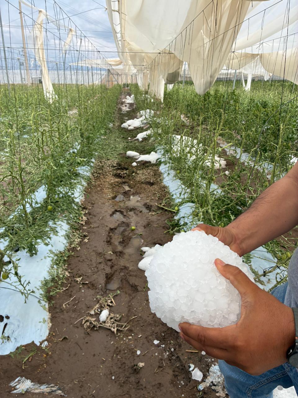 GOBIERNO ESTATAL ACTÚA ANTE DAÑOS POR TROMBA EN LA CAPITAL Y VILLA DE&nbsp;ARISTA