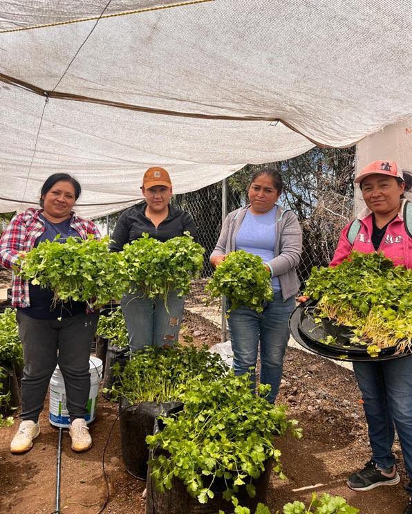 Cosecha de huerto escolar en primaria municipal beneficia a familias&nbsp;potosinas