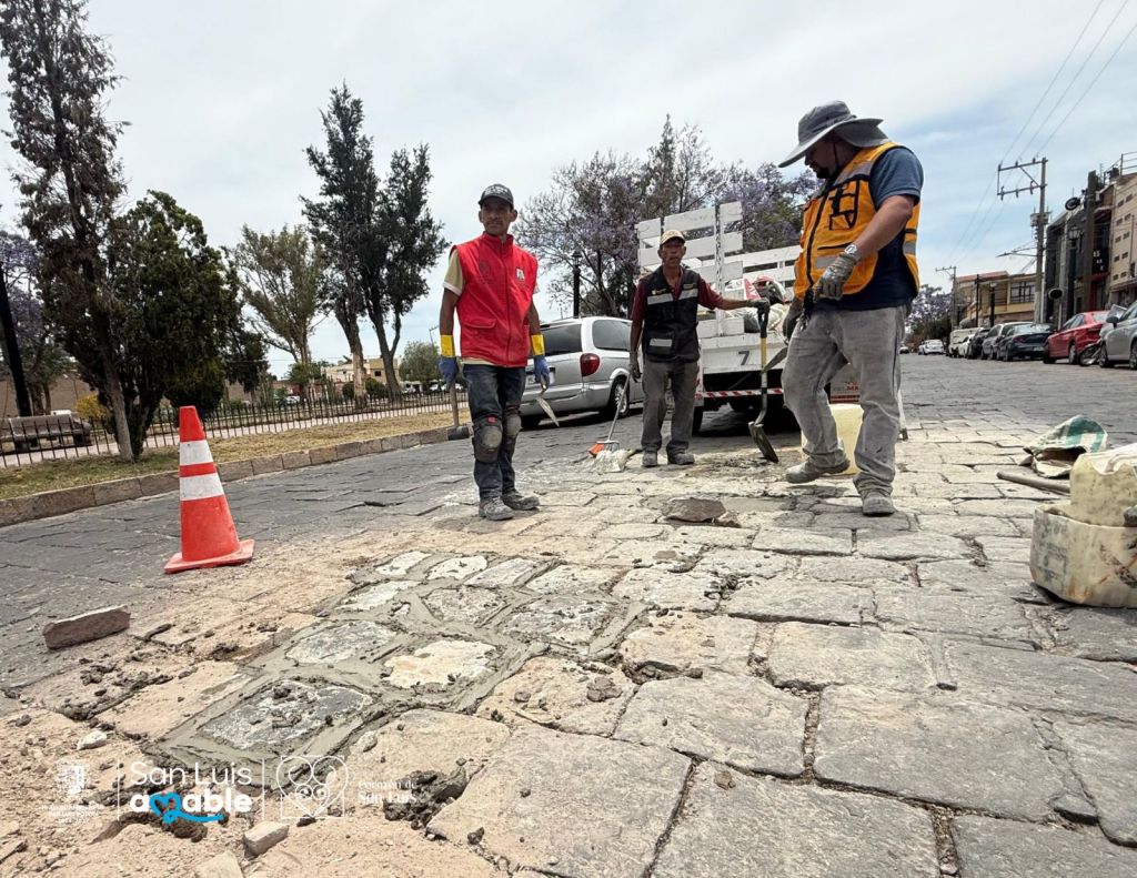 Gobierno de la Capital mejora la movilidad y preserva el esplendor de la Calzada de&nbsp;Guadalupe