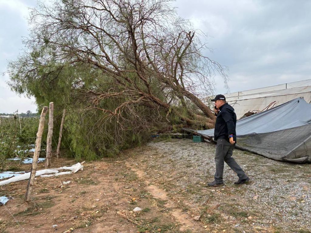 Redobla acciones autoridad de Bocas para dar atención a afectaciones debido a&nbsp;tromba