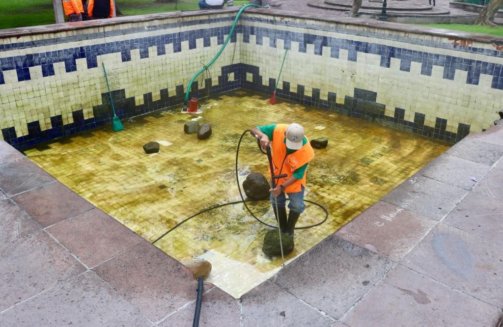 Cuidado responsable del lago de la Alameda fortalece bienestar animal y entorno&nbsp;urbano