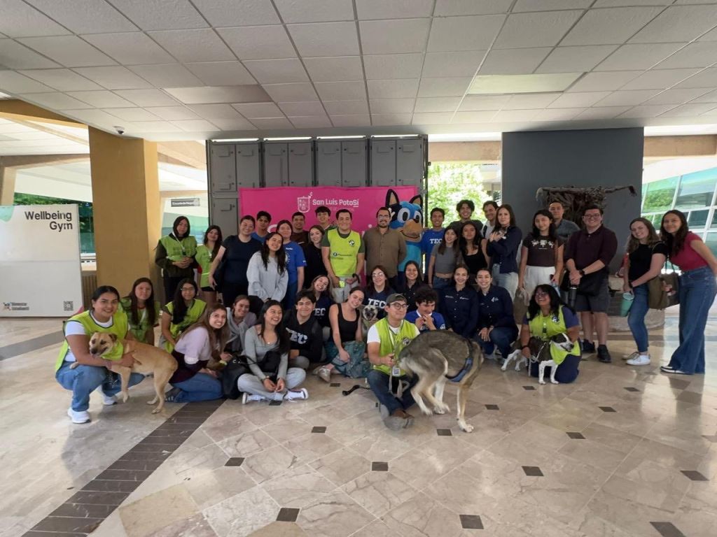 Más instituciones apoyan la campaña “Jóvenes con huella” para promover el bienestar animal en la&nbsp;Capital