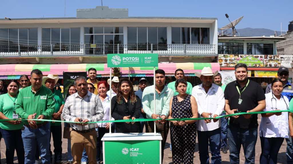 ESTADO ACERCA CAPACITACIÓN Y SERVICIOS A&nbsp;TAMASOPO